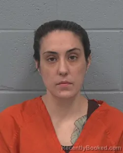 Mugshot of BRITTANY NICOLE DAVIS booked in Pasco County, Florida on July 4, 2026