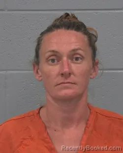 Mugshot of JESSICA BARBARA LISS booked in Pasco County, Florida on July 5, 2026