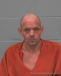 Mugshot of BRIAN DAVID WATSON booked in Pasco County, Florida on July 6, 2026