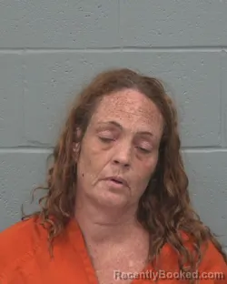 Mugshot of RENEE LYNN WATSON booked in Pasco County, Florida on July 6, 2026