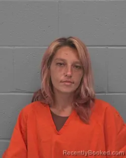Mugshot of KAYLEE SUE ORINGER booked in Pasco County, Florida on July 7, 2026