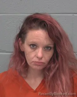 Mugshot of KELLY LYNN MILLER booked in Pasco County, Florida on July 8, 2026