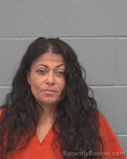 Mugshot of CRYSTAL VEGA GONZALEZ booked in Pasco County, Florida on July 11, 2026
