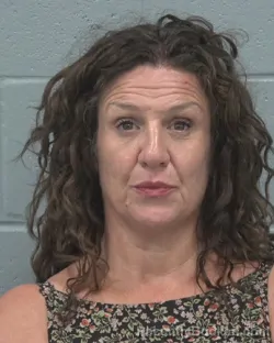 Mugshot of JO ERIN WHITE booked in Pasco County, Florida on July 11, 2026