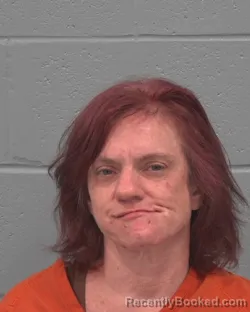 Mugshot of LISA FAYE CHESAROK booked in Pasco County, Florida on July 12, 2026