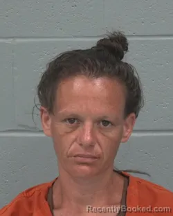 Mugshot of VERONICA LEE IRVIN booked in Pasco County, Florida on July 29, 2026