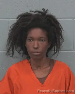 Mugshot of SHAQUANDA TYSHEIA MONIQUE KINSLER booked in Pasco County, Florida on August 3, 2026