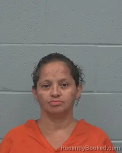 Mugshot of MARGARITA RODRIGUEZ booked in Pasco County, Florida on August 4, 2026