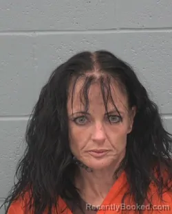 Mugshot of Samantha Marie Puig booked in Pasco County, Florida on August 17, 2026