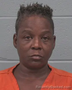 Mugshot of Kimmerly Deann Hardy booked in Pasco County, Florida on August 20, 2026