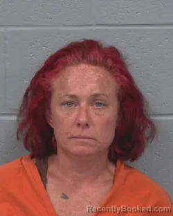 Mugshot of Jessica Lee Sonneberger booked in Pasco County, Florida on August 20, 2026