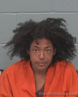 Mugshot of Abigail Noemi Garcia booked in Pasco County, Florida on August 20, 2026