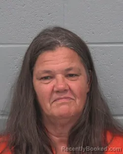 Mugshot of Deborah Anne Jurgens booked in Pasco County, Florida on August 21, 2026