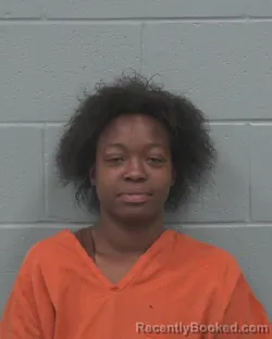 Mugshot of Ashanti Alexandria Simon booked in Pasco County, Florida on August 22, 2026