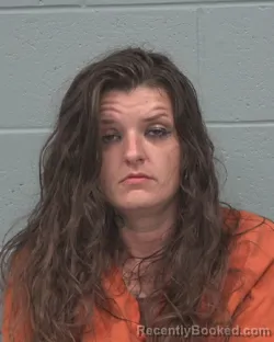 Mugshot of Paige Marie Hoyt booked in Pasco County, Florida on August 22, 2026