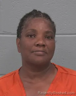 Mugshot of Chantel Lotasha Coleman booked in Pasco County, Florida on August 25, 2026