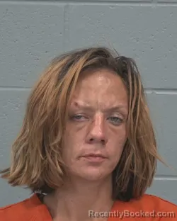 Mugshot of Parisia Dee Jimenez booked in Pasco County, Florida on August 27, 2026
