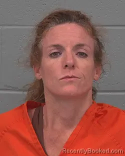 Mugshot of Ann Marie Godin booked in Pasco County, Florida on August 28, 2026