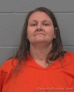 Mugshot of Melissa Lynn Clary booked in Pasco County, Florida on August 28, 2026
