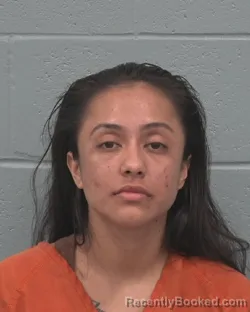 Mugshot of Azalia Adriana Flores Najera booked in Pasco County, Florida on September 1, 2026