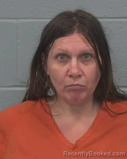 Mugshot of Michelle Jeanne Danhardt booked in Pasco County, Florida on September 3, 2026