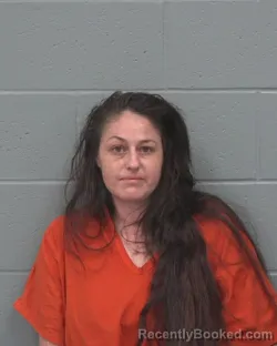 Mugshot of Megan Elizabeth Hamilton booked in Pasco County, Florida on September 4, 2026