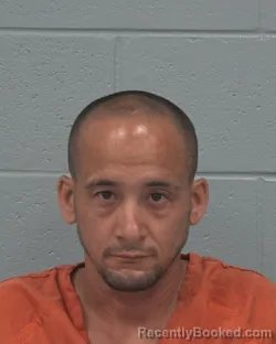 Mugshot of Jonathan Angel Chamorro booked in Pasco County, Florida on September 6, 2026