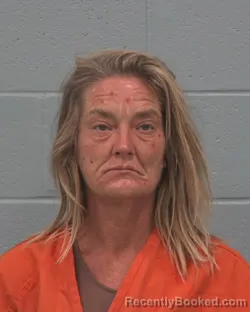 Mugshot of Julie Ann Roth booked in Pasco County, Florida on September 7, 2026
