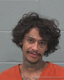 Mugshot of Gabriel Jose Torres-Lopez booked in Pasco County, Florida on September 8, 2026