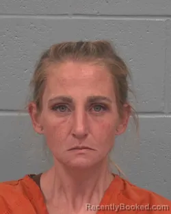 Mugshot of Ellen Louise Harmer booked in Pasco County, Florida on September 8, 2026