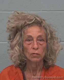 Mugshot of Laurie Ann Thomas booked in Pasco County, Florida on September 10, 2026