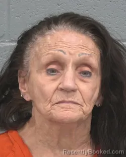 Mugshot of Heidie Sarah Bartolomeo booked in Pasco County, Florida on September 11, 2026