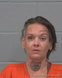Mugshot of Jamie Lee Jackson booked in Pasco County, Florida on September 13, 2026