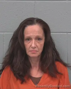 Mugshot of Elaine Anne Rowlette booked in Pasco County, Florida on October 4, 2026