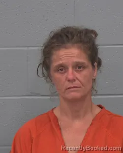 Mugshot of Janie Louise Fudge booked in Pasco County, Florida on October 23, 2026