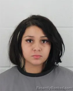 Mugshot of TERRESSA ANN MARIE BURGESS