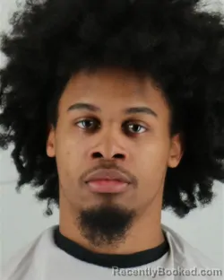 Mugshot of GERALD PAUL LEE