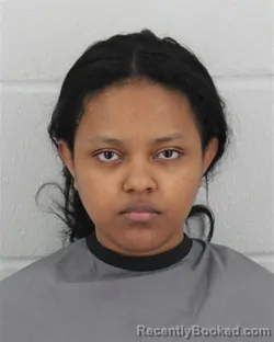 Mugshot of ELSHADAY MENGESHA TESEMMA