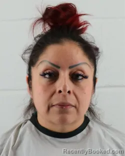 Mugshot of GABRIELA AUSTRIA