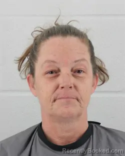 Mugshot of CHRISTINA NICOLE RICHARDSON