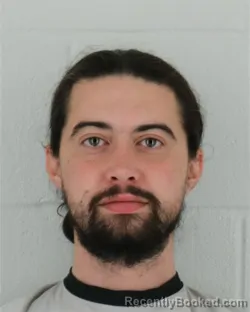 Mugshot of ZACHARY TYLER LIVENGOOD