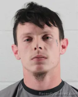 Mugshot of MICHAEL ALLEN FANNAN