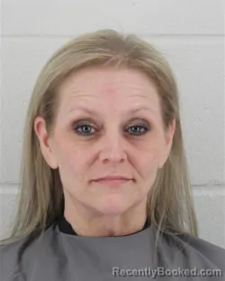 Mugshot of HOLLY LYNN MCNEVIN