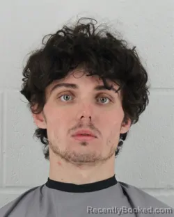 Mugshot of NICOLAS WILLIAM REED