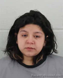 Mugshot of ANGIE STEPHANIE BERGERON