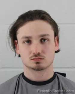 Mugshot of DARRELL SCOTT WALKER