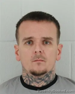 Mugshot of BRYAN ADAM FITZGERALD