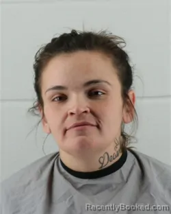 Mugshot of SOMER MARIE HARTWELL