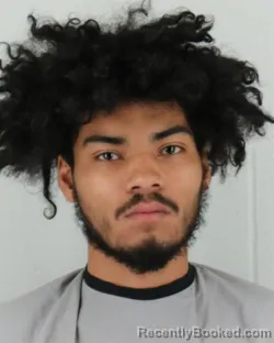 Mugshot of ANTHONY DAVID NARVAEZ