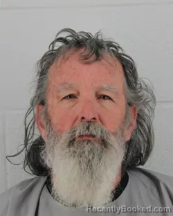 Mugshot of DOUGLAS WAYNE BLEVINS